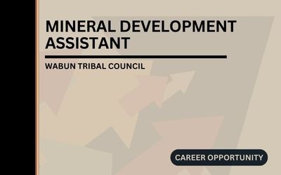 Mineral Development Assistant