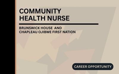 Community Health Nurse